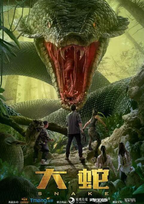 《东西向洞》海报